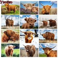 5d diy diamond painting full round animal highland cattle picture of rhinestones diamond embroidery arts and crafts mosaic kit