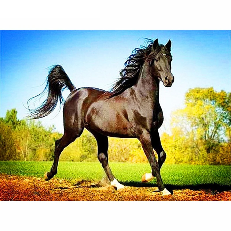 

Full Square/Round Drill 5D DIY Diamond Painting "Animal Horse" 3D Rhinestone Embroidery Cross Stitch 5D Home Decor Gift