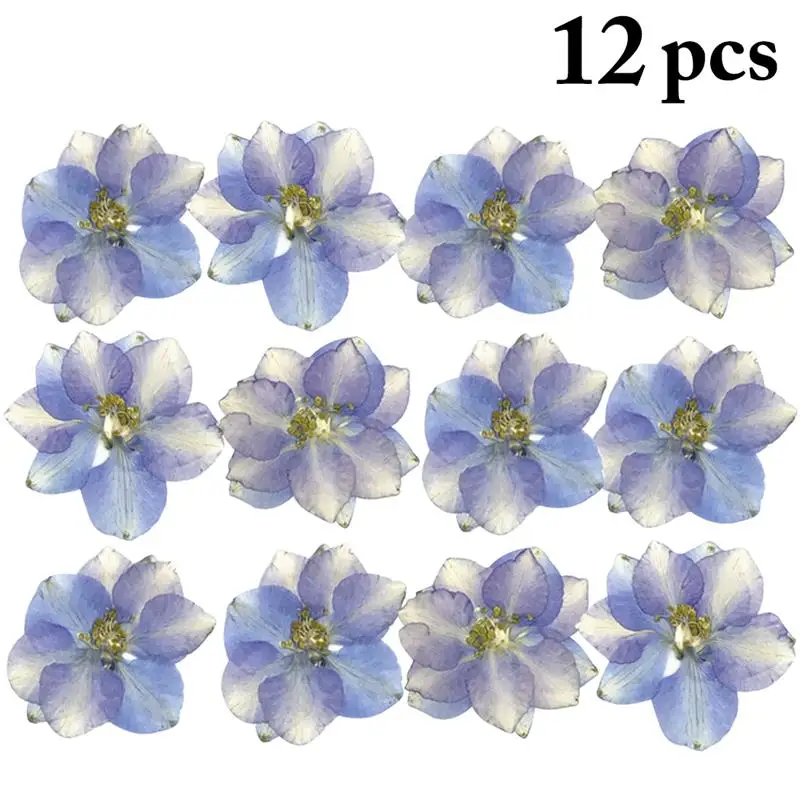 12 шт. сушеные цветы Real Larkspur сделай сам прессованные сухие растения для