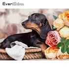 Алмазная вышивка Evershine с собакой и цветком, картина из квадратных страз, животное, Набор для вышивки крестиком, мозаика из страз, полный набор для украшения