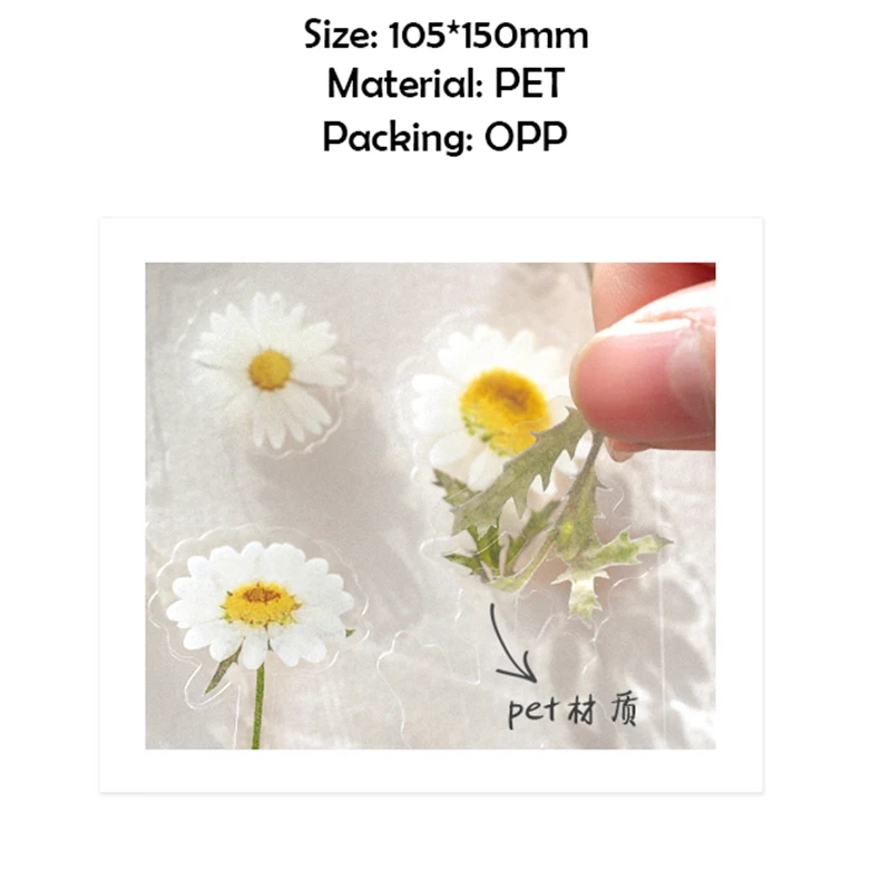

12 Designs Natural Daisy Clover Japanese Words Stickers Transparent PET Material Flowers Leaves Plants Deco Stickers Flower