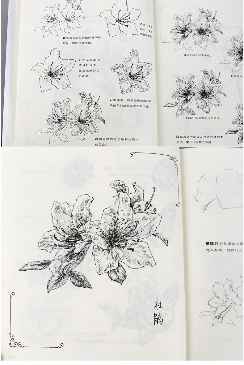 

Plant Gallery 88 Kinds of Classic Black and White Plant Painting Illustration Tutorial Book Black and White Picture