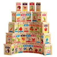 100 pcs domino blocks wooden learning cognitive toys dominoes wood animals plants intelligence education toys for children baby