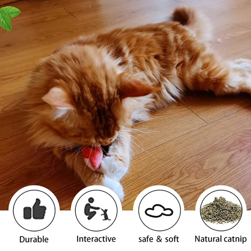 

Cat Catnip Toys for Indoor Cats Kitten Teething Chew Toy 3 Pieces Set Doll with Hemp Rope Feathers and Bell for All Cats