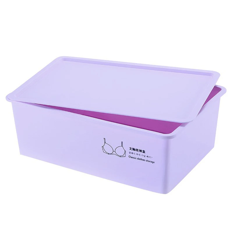 Purple 1 шт., нижнее белье для девочек, коробка для хранения косметики, ящик для хранения, бюстгальтер, носки, нижнее белье, комбинированный Органайзер - Цвет: Purple