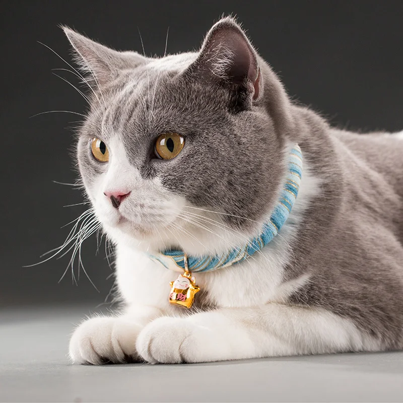 

Pet Adjustable Buckle Dog Cat Collar Accessories For Small Medium Large Dog Puppy Pet Supplies