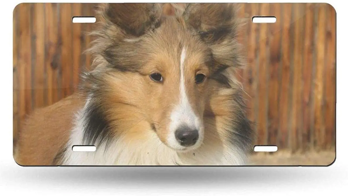 

yunsu Beautiful Sheltie Breed Dog License Plate,car Decor Personalise Tag,Novelty Car Front License Plate Metal Aluminum Car