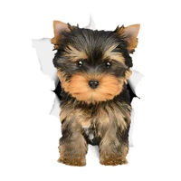 s40748 various sizes self adhesive decal yorkshire terrier dog car sticker waterproof auto decors on bumper rear window