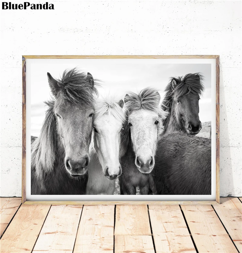 Лошадь Животное черный и белый скандинавский Принт масло минималистское полотно