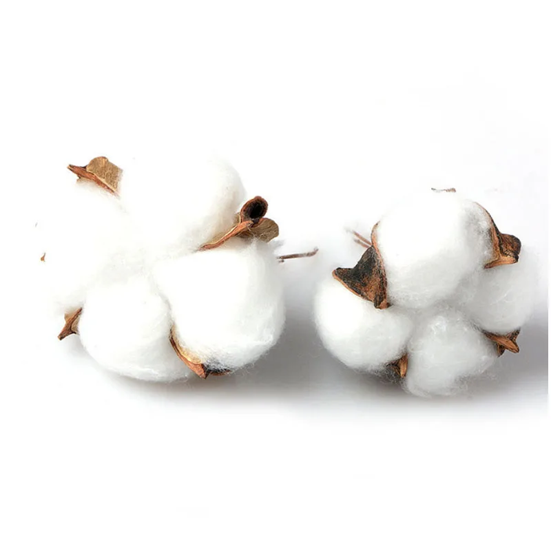 Натуральные высушенные стебли хлопка искусственный цветочный наполнитель для