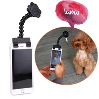 brandnew pet selfie stick for dogs cat photography tools pet interaction toys concentrate training supplies dog accessories