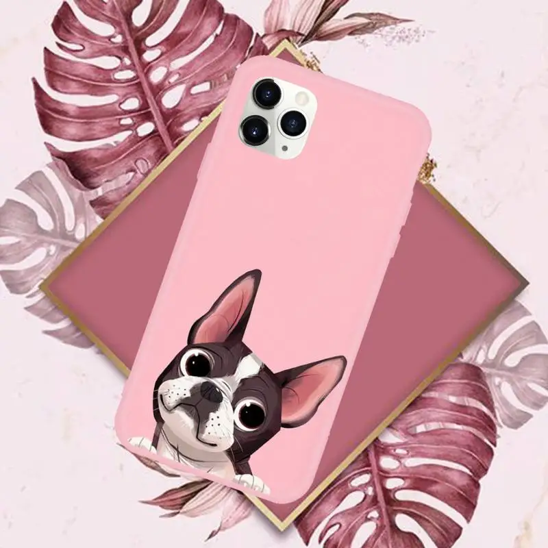 

Dog French Bulldog Phone Case Pink Candy Color for iPhone 11 12 mini pro XS MAX 8 7 6 6S Plus X SE 2020 XR