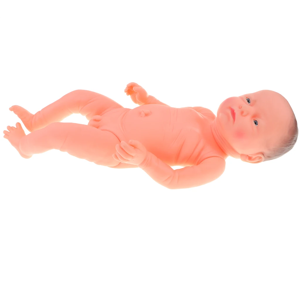 

Vinyl Baby Boy Doll Infant Body Manikin Anatomically Babysitter