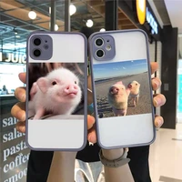 phone case for iphone 12 11 mini pro xr xs max 7 8 plus x cute little pink pet pig matte transparent gray cover