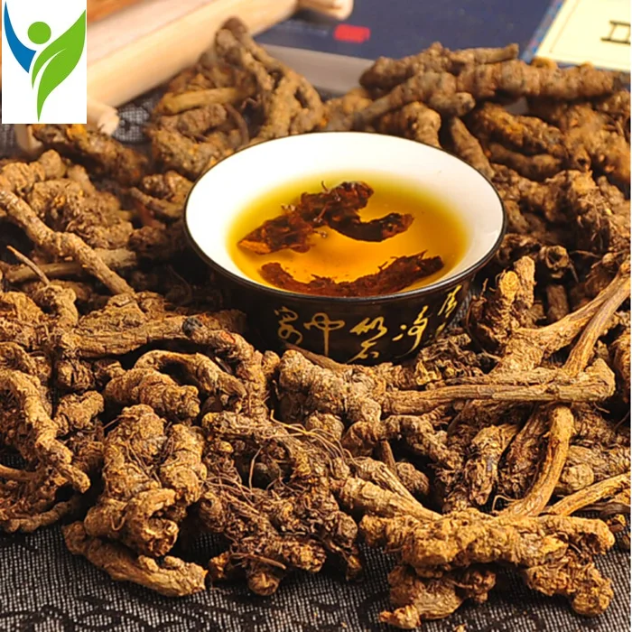 

Coptis Root Huang Lian Rhizonma Coptidis Wild Coptis Root Coptis Chinensis Root Coptis Chinensis Coptis Coptidis Rhizoma