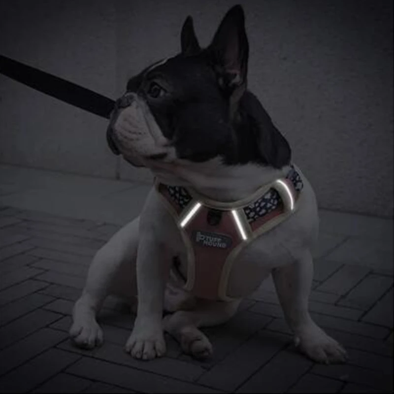 Нейлоновая шлейка для собак светоотражающая Регулируемая мягкая безопасная