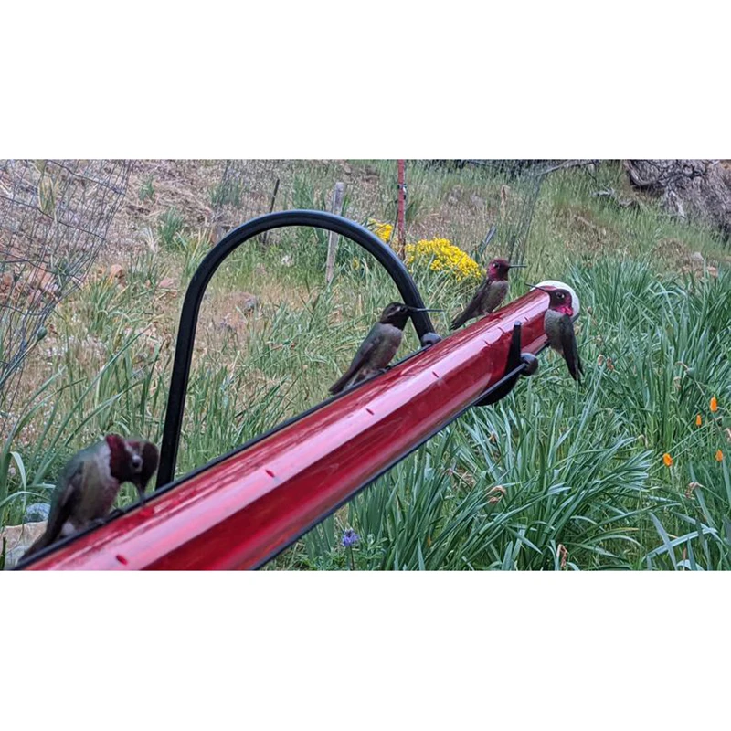 

Anna's Best Hummingbird Feeder 24oz / 48oz with Hole Birds Feeding Transparent Pipe Easy to Use C66