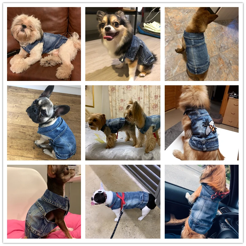 Стильная ковбойская куртка для собак Весенняя джинсовая одежда щенков чихуахуа