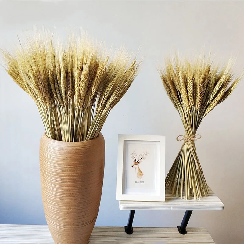 

Hot Sales 50pcs Real Natural Wheat Ear Preserved Dried Flower Bussiness Openning Gift Photograph Home Desktop Wedding Decoration