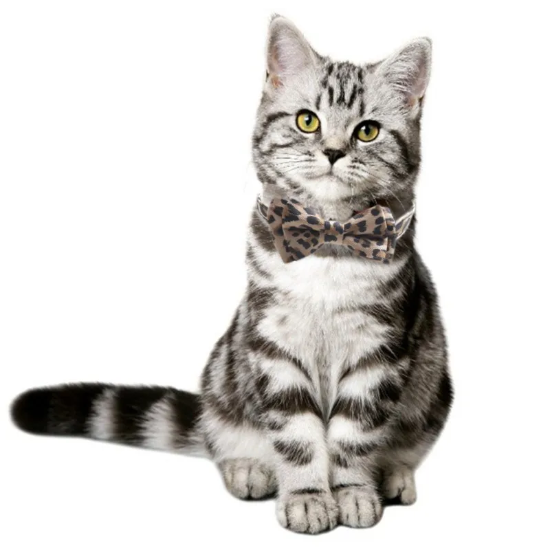 Ошейник для кошек с леопардовым принтом и галстуком бабочкой больших маленьких