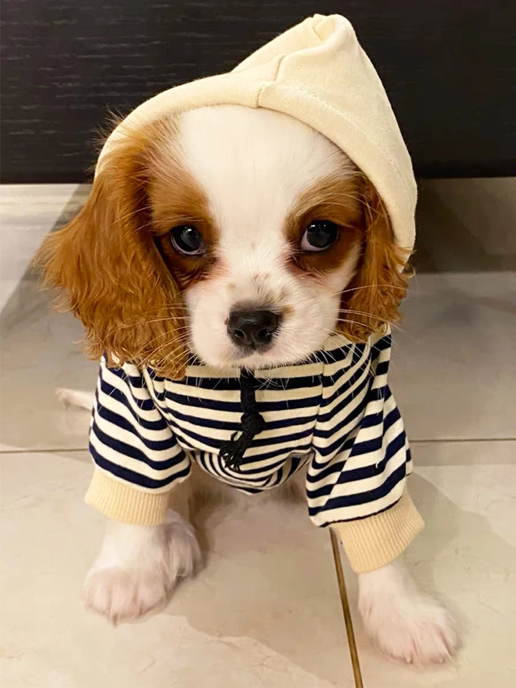Одежда для собак зимняя теплая полосатая хлопковая толстовка щенков кошек
