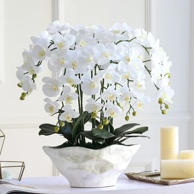 Beste Hoge Simulatie Real Touch Ikebana Kunstmatige Orchidee Bloemstuk Latex Orchidee Sierteelt Phalaenopsis Pot Cultuur Pak