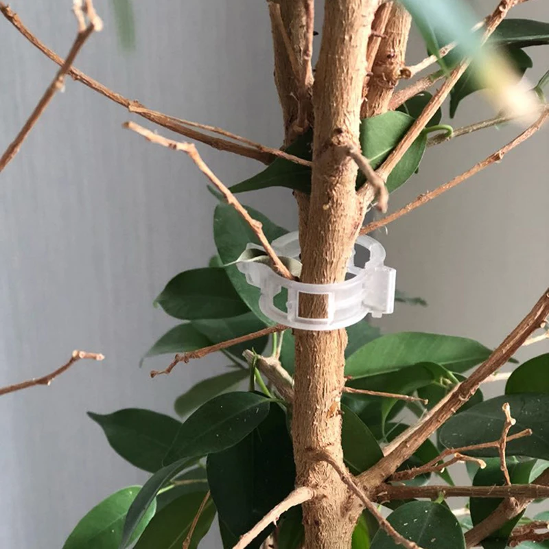 

Пластиковые зажимы для поддержки растений, 50 шт., 23 мм