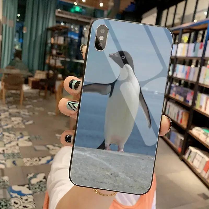 KPUSAGRT милый Пингвин мягкий резиновый чехол для телефона закаленное стекло iPhone 11 Pro