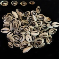 50pcs shell diy bracelet beads beige gray white ocean beads for jewelry making cowrie cowry charms necklace crafts accessories