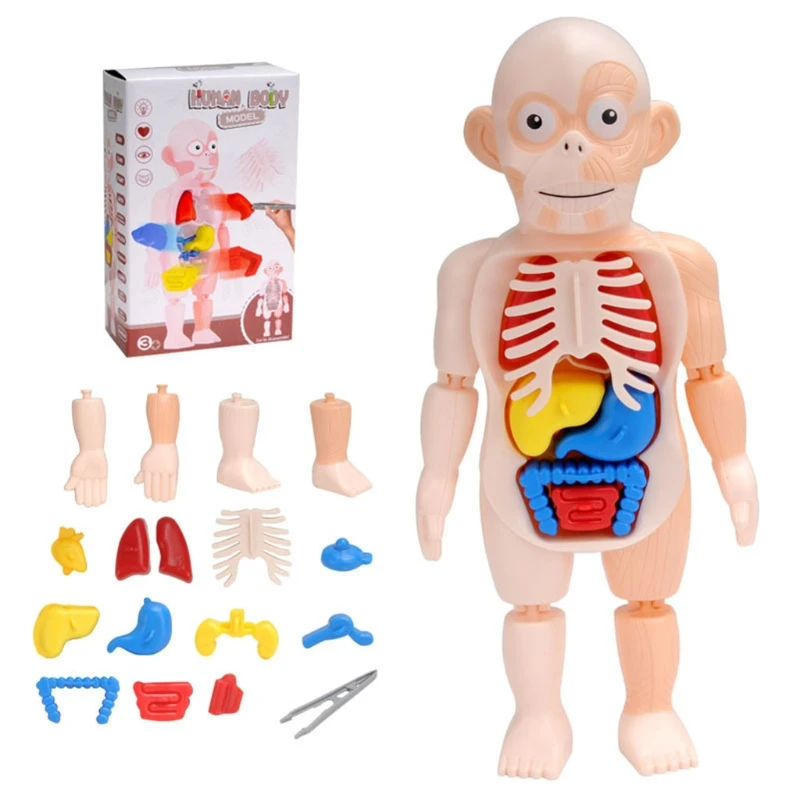 

124D 1Set Kids Education Block Puzzle Learning Toy Anatomy Game Board 3D DIY Miniature Human Body Puzzle Jigsaw Organ Toy