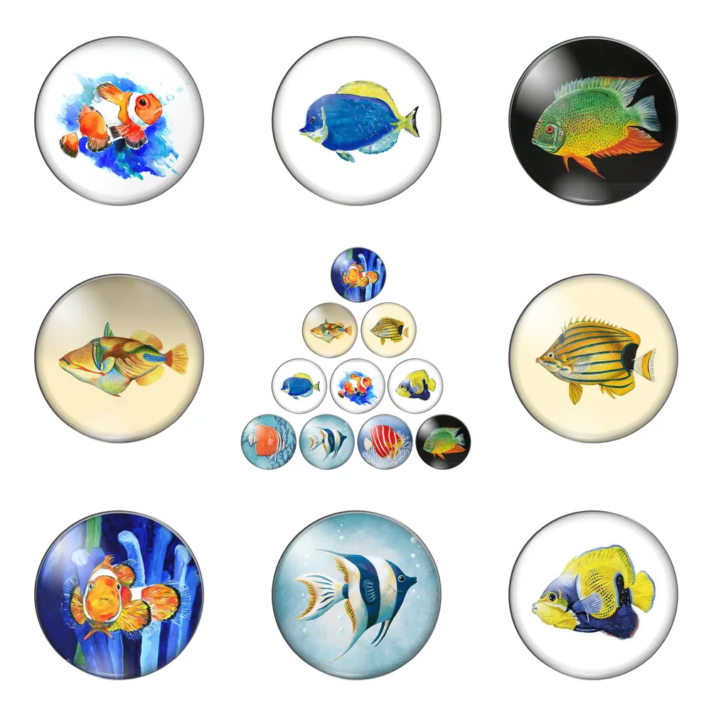

Cartoon Fish Colourful Marine Fishes 12mm/20mm/25mm/30mm Round Photo Glass Cabochon Demo Flat Back Making Findings