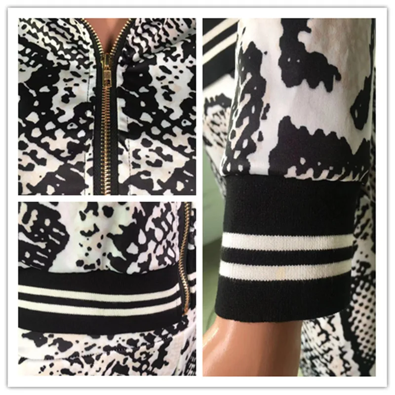 Комплект из 2 предметов с принтом змеиной кожи Adogirl повседневная куртка на молнии