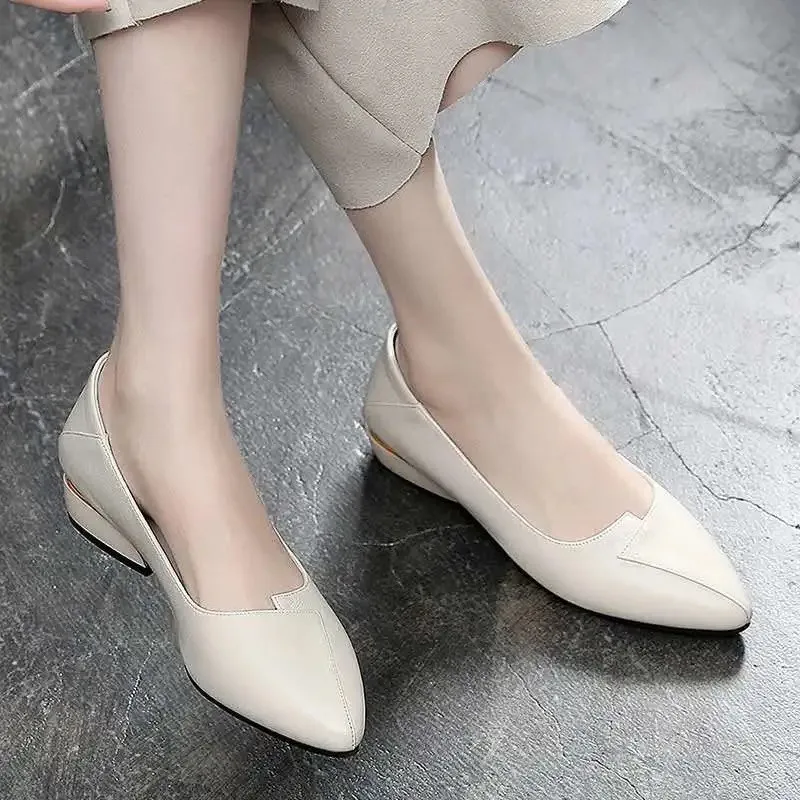 

New soft leather shoes for women, pointed thick heel shoes for women