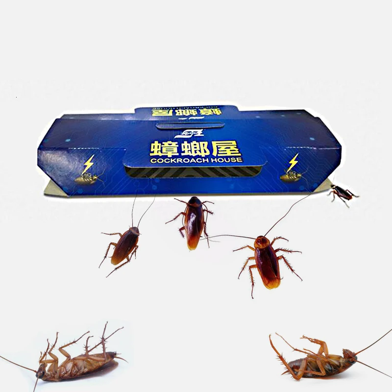 10 шт./1 коробка ловушка для тараканов | Дом и сад