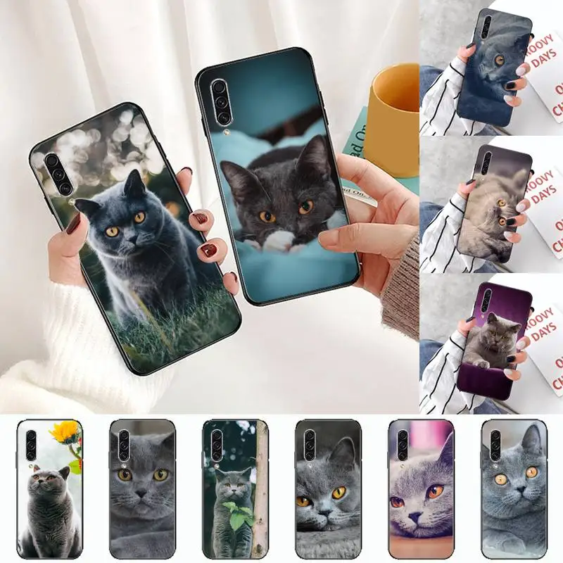 

Webbedepp British Shorthair cat cute Phone Case For Samsung A S M Note 9 10 20 fe 21 71 30 ultra plus 5g 11 31 51 s