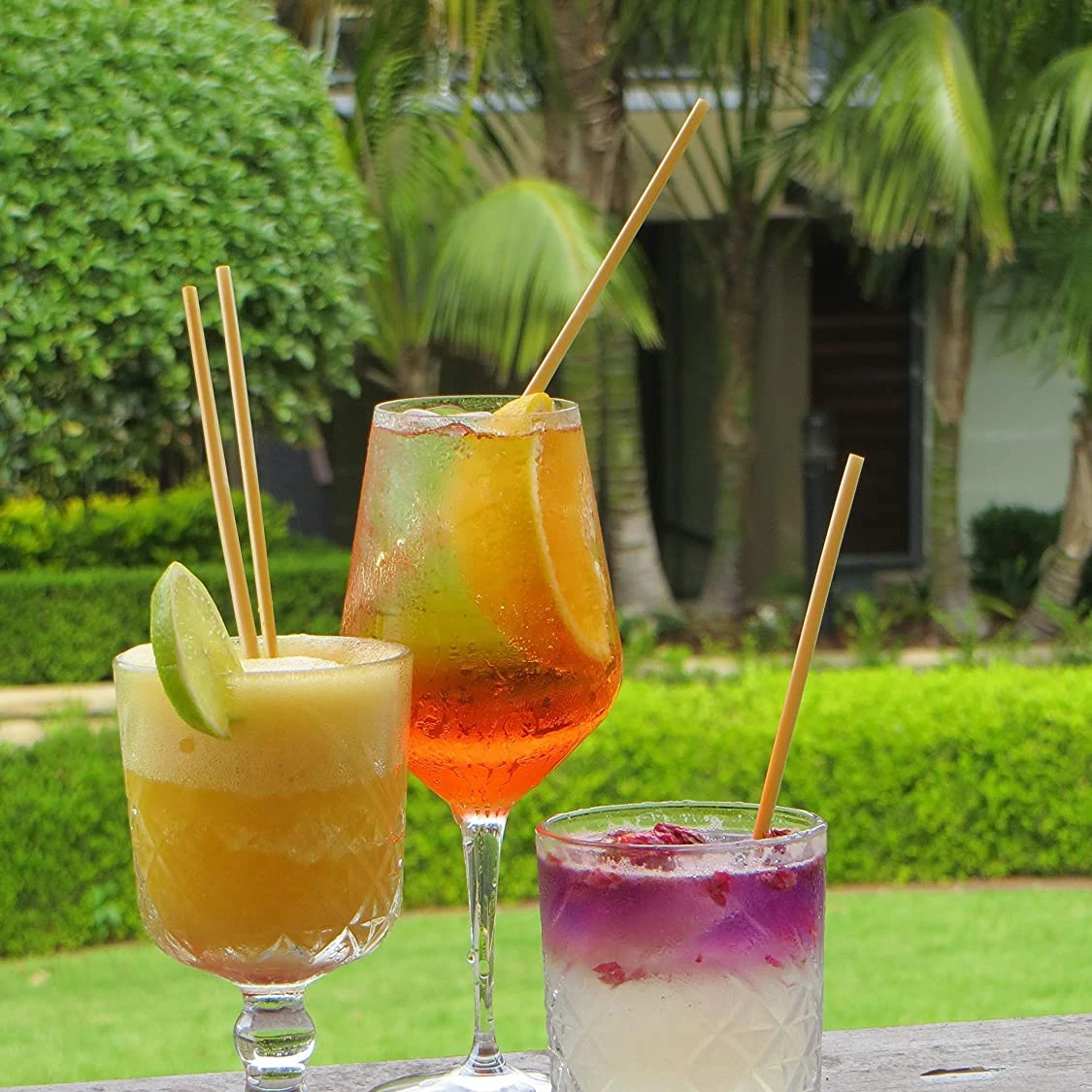 Упаковка из 100 экологически чистых биоразлагаемых напитков естественных цветов |