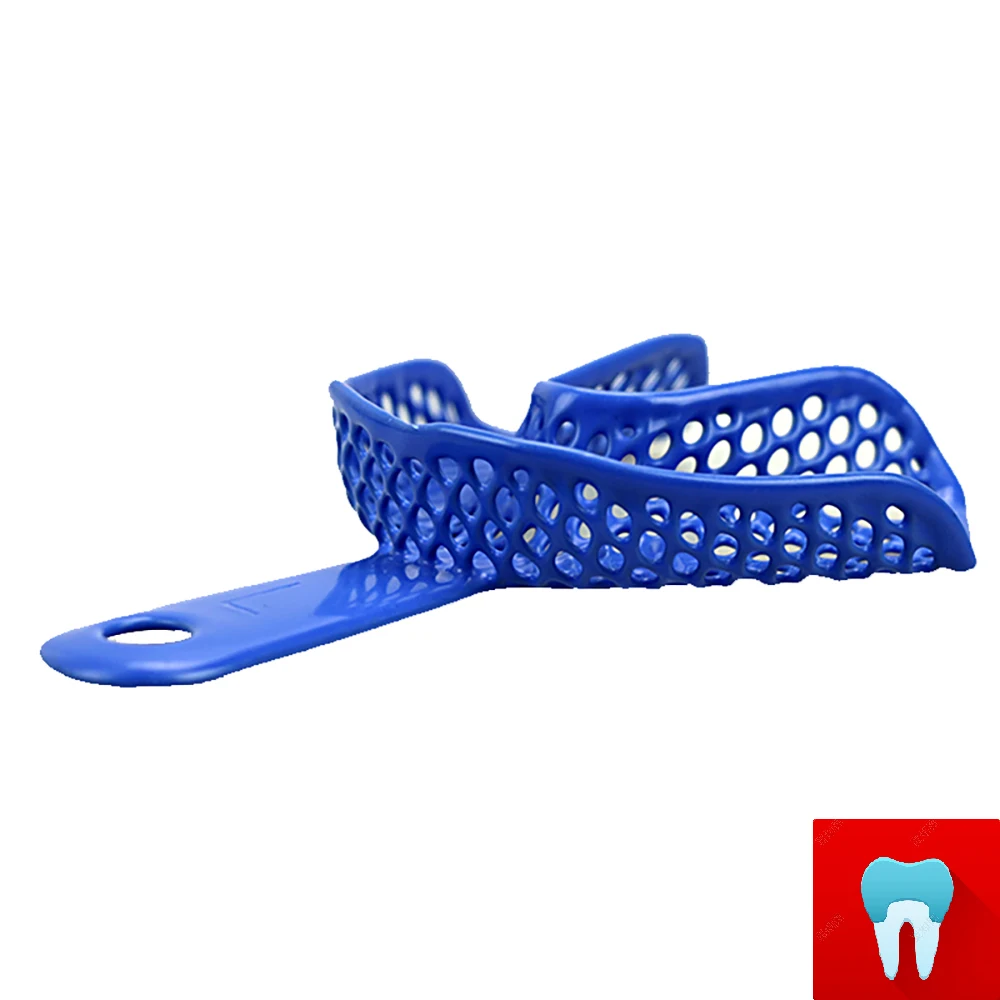 1 set Dental Impression Tray Holder Stand Placing Frame Dentist Instrument Dentistry Materials Dentist Tools With 10 pcs Tray