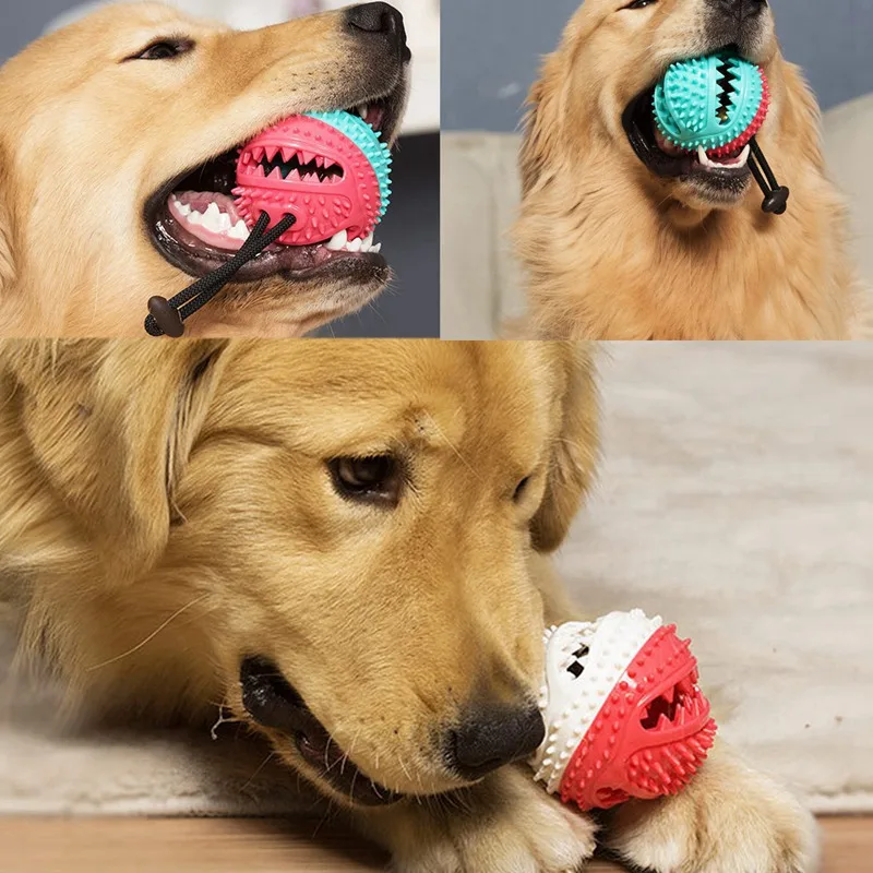QQQPET 2PCS Dog Interactive Natural Rubber Ball Puppy Chew Toy Food Dispenser Bite-Resistant Clean Teeth Pet Playing Balls | Дом и сад