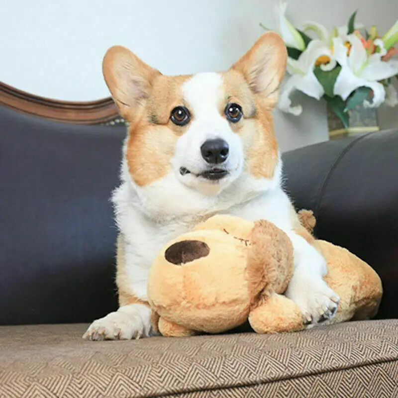 

Pet Comfortable Snuggle Sleep Heartbeat Puppy Training Toy Plush Pet Snuggle Soothe Anxiety Relief Sleep Aid Durable Chew Toys