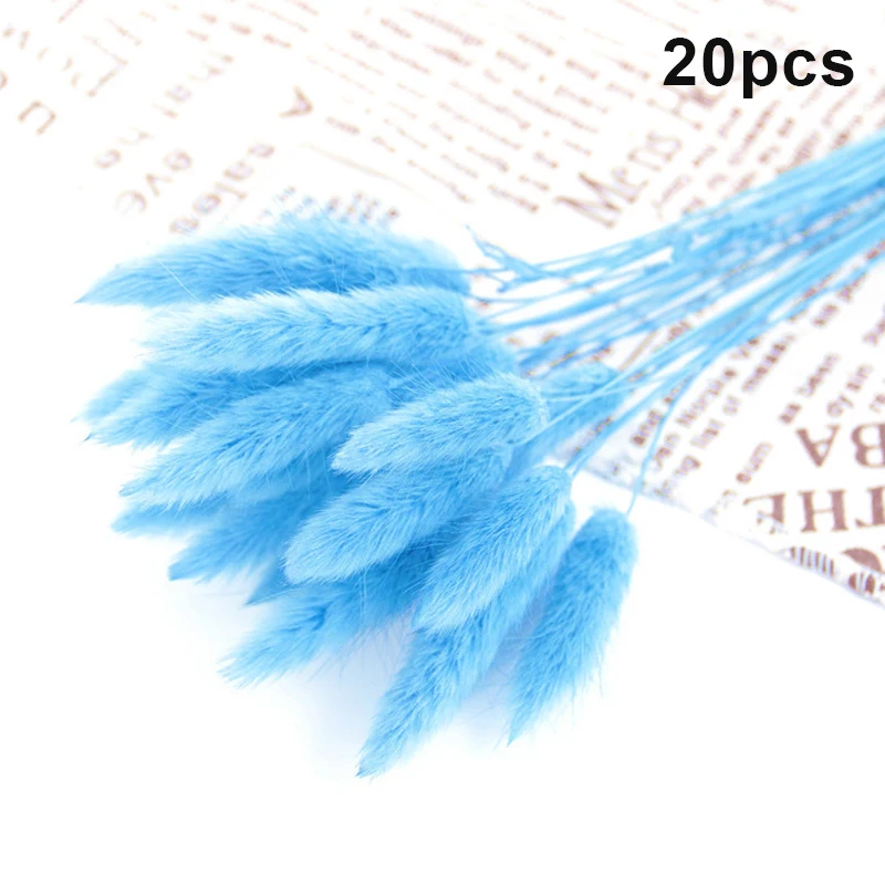 20 шт. Натуральные сушеные цветы для украшения дома | Дом и сад