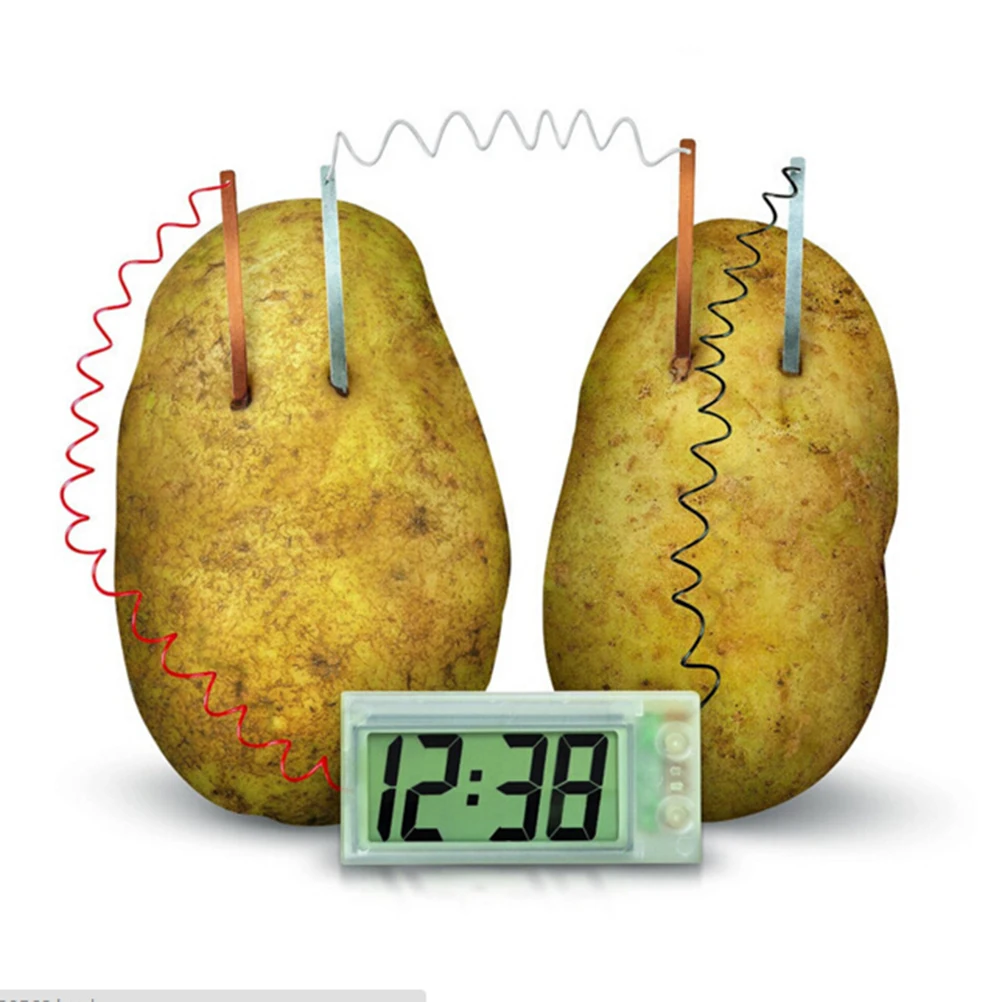 

Potato Clock Electrochemical Cell Experiment Material ,funny Novelty Home School Green Science Kit Educational DIY Material