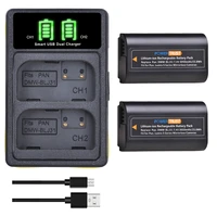dmw blj31 battery with dual charger for panasonic dmw blj31 lumix s1 s1r s1h lumix s series cameras