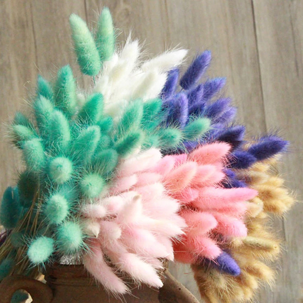 

30Pcs/lot Natural Dried Flowers Rabbit Tail Grass Bunch Colorful Lagurus Ovatus Real Flower Bouquet for Home Wedding Decoration