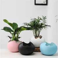 eggshell shape flowerpot ceramic succulent plants pot container creative planters bonsai pots garden home desktop decoration