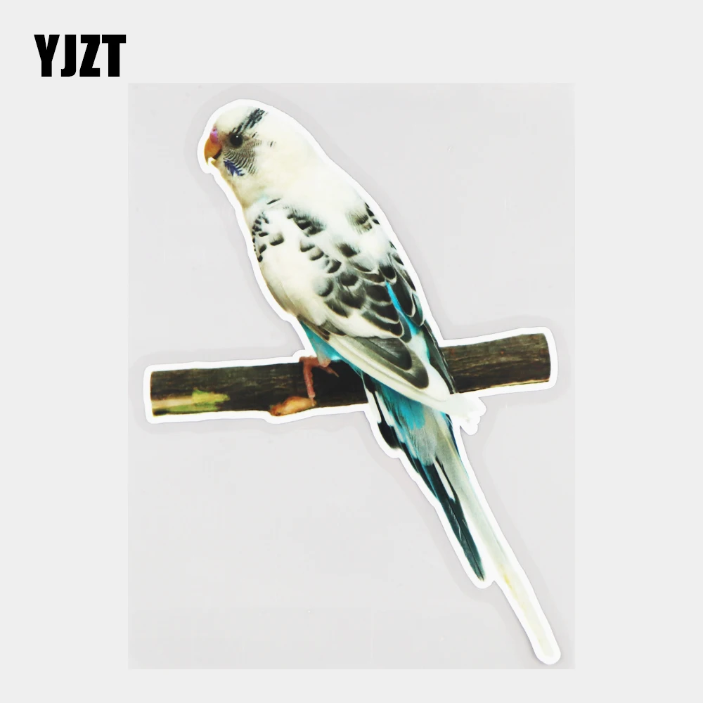 

YJZT 13×18CM White Parrot Fashion Rear Windshield Bumper Decoration Animal Car Sticker Accessories 21A-0953