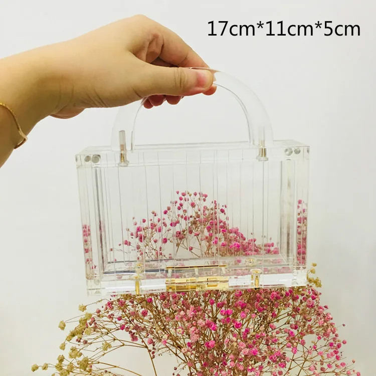 Transparent Handle Прозрачная сумка, прозрачная акриловая ПВХ пластиковая коробка, сумка в Дубае для женщин и девушек, винтажная Ретро вечерняя сумочка, новая летняя сумка - Цвет: Transparent Handle