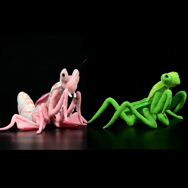 

Милая реальная жизнь Розовая орхидея мантис мягкие игрушки-животные мягкая инфекция китайская мантидная плюшевая игрушка Образовательные Подарки для детей Audlt