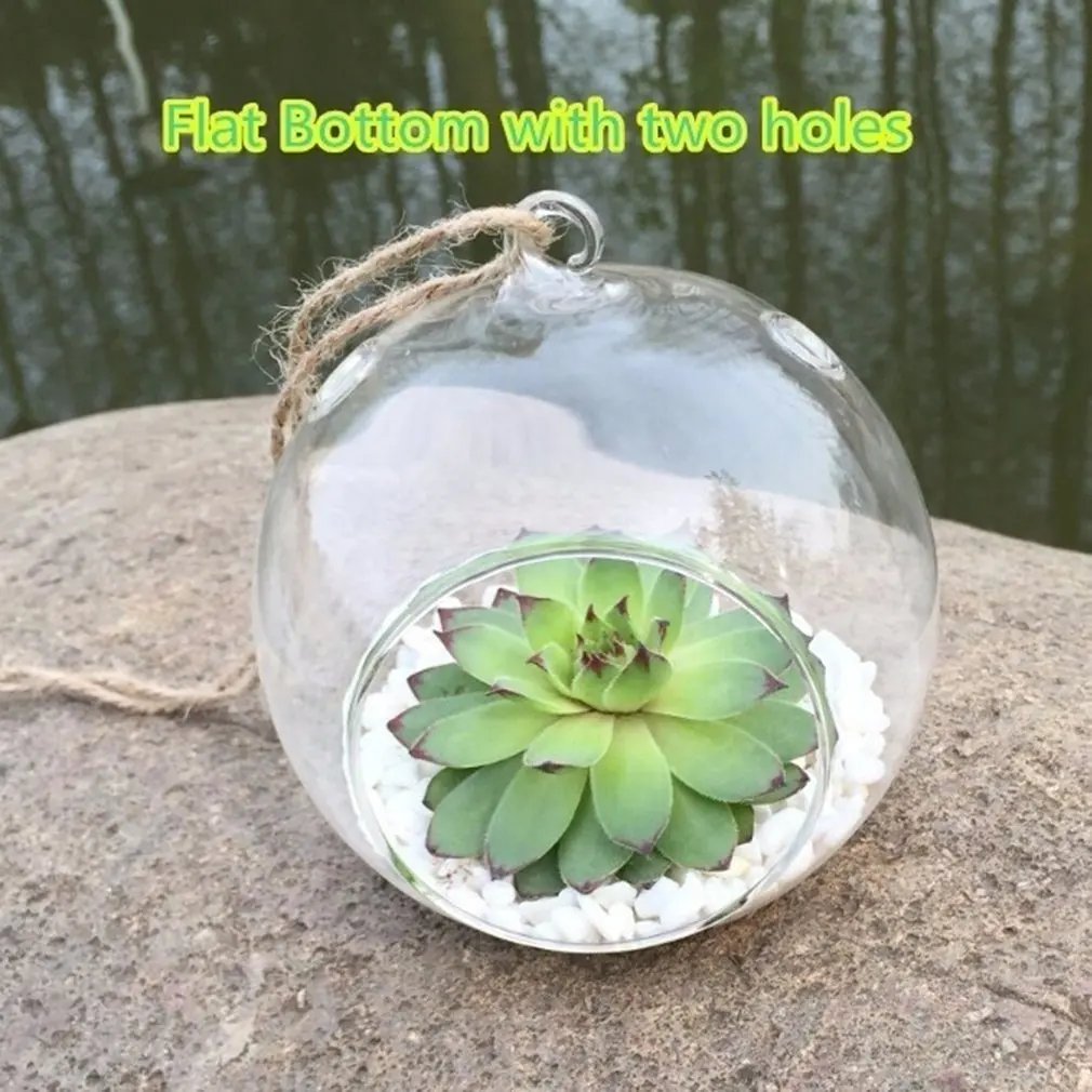 Прозрачная стеклянная ваза 2020 для цветов с гидропоникой подвесные круглые