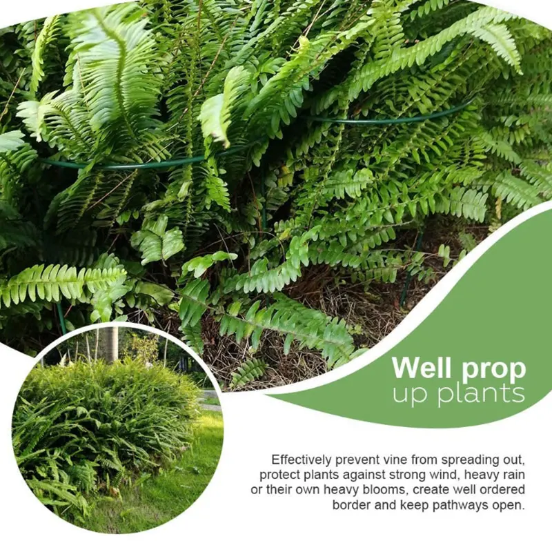 

12 Pcs Plant Support Stake Metal Garden Plant Stake Green Half Round Plant Support Ring Plant Cage Plant Support 25X40cm