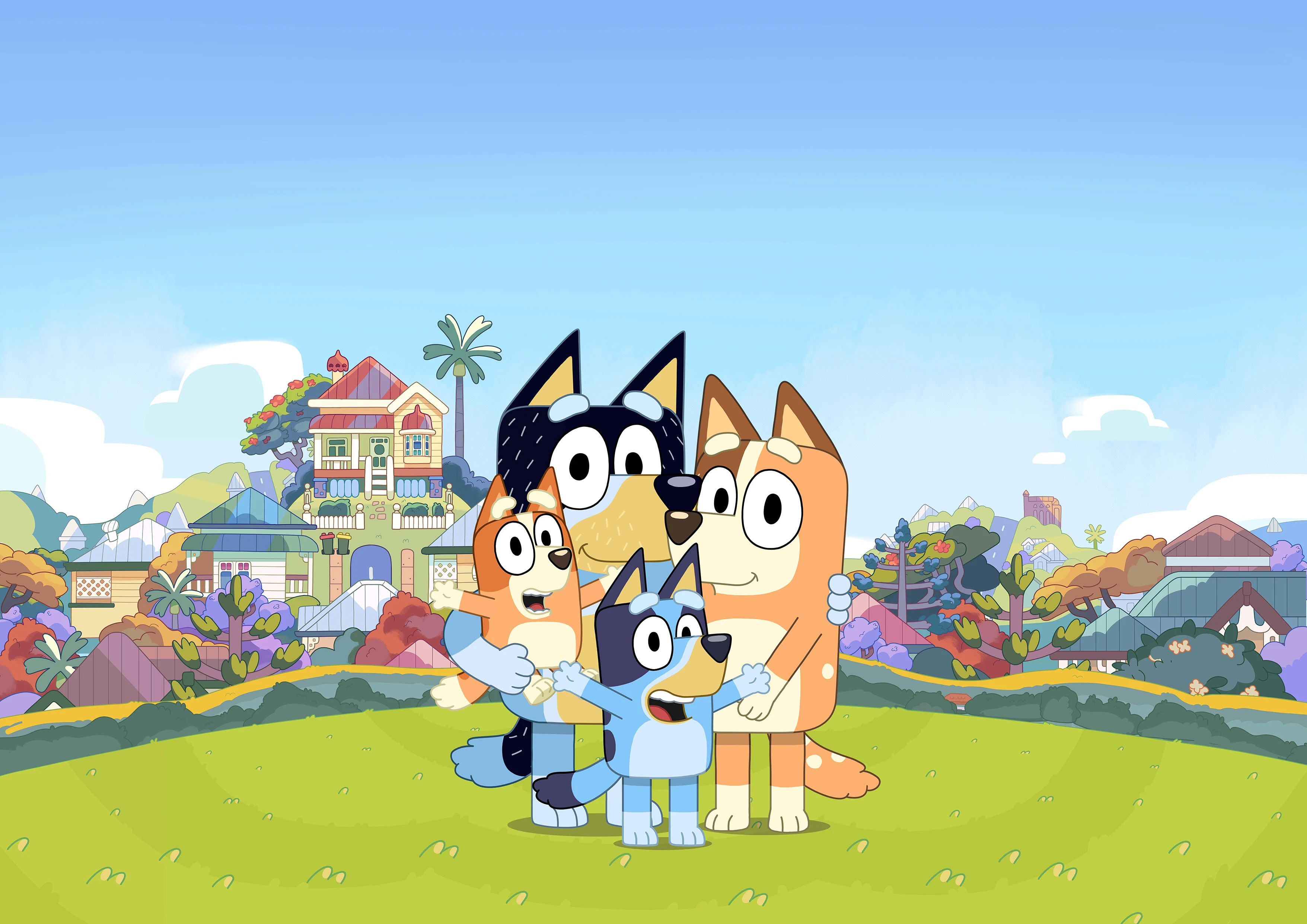 Виниловый фон для студийной фотосъемки boda Green Garden City Sheepdog Bluey на заказ |